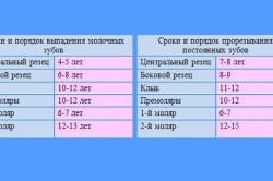 Схема молочных зубов у детей